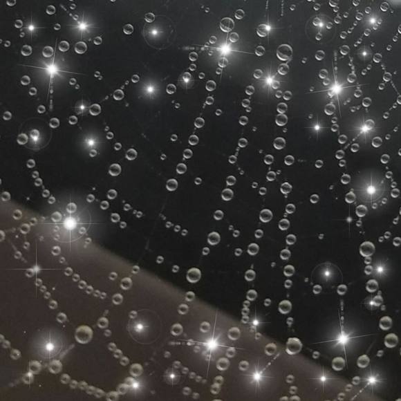 Meet your Posher, Jola - Picture 1 of 1